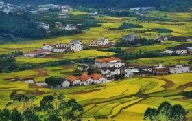 農業(yè)農村部:多措并舉推進農業(yè)農村綠色發(fā)展縮略圖 農業(yè)農村部:多措并舉推進農業(yè)農村綠色發(fā)展縮略圖