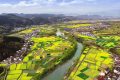 漢中油菜花節(jié)各縣區(qū)觀花線路公布！縮略圖