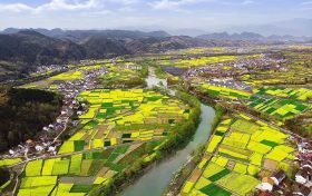 漢中油菜花節(jié)各縣區(qū)觀花線路公布！縮略圖