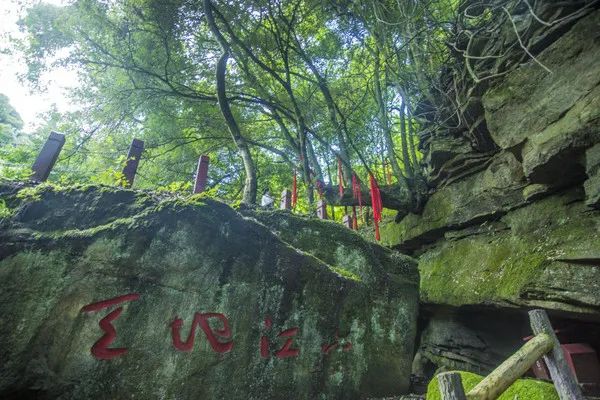 @寧強(qiáng)人，漢江源景區(qū)年卡福利來(lái)啦！！插圖15