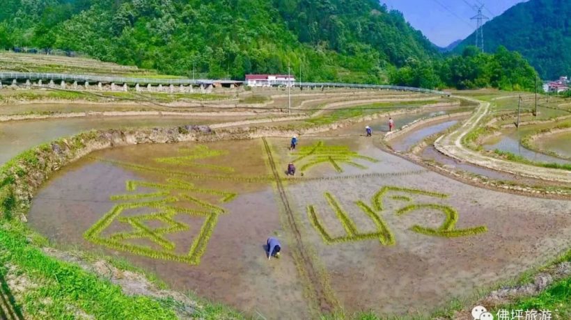 佛坪這些地方，讓你的春游不再單調！插圖17
