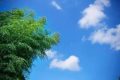 直接入夏！漢中氣溫將突破30℃縮略圖