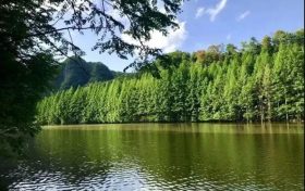 火爆出圈的漢中出游“頂流”，您最鐘意哪一處？縮略圖