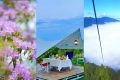 賞花、觀云、露營(yíng)……這才是夏天的正確打開(kāi)方式！縮略圖
