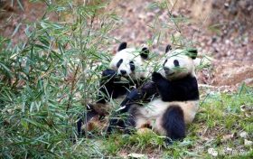 “近郊鄉(xiāng)村游”缺線路？馬上安排！縮略圖