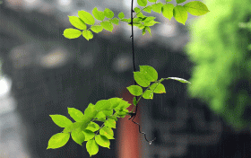 漢中這些地方雨天別有風(fēng)情，總有一處深得你心！縮略圖