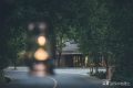 闖進留壩秘境森林，過22℃的夏天縮略圖