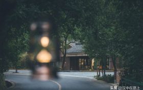 闖進(jìn)留壩秘境森林，過22℃的夏天縮略圖