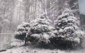 陜西多地5月飄雪！氣象局連發(fā)12個預警 最低氣溫6℃……縮略圖