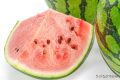 一口8400個細(xì)菌？你是合格的夏日“吃瓜群眾”嗎？縮略圖