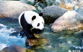 全國(guó)首家！開(kāi)工！縮略圖