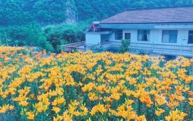 文旅行業(yè)新添兩個“新職業(yè)”！縮略圖