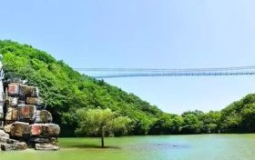 祝賀！漢中這幾個縣被省政府通報表彰縮略圖