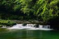 漢中避暑界的“頂流”，晚上還要蓋棉被！縮略圖