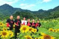 漢中新晉“網(wǎng)紅”向日葵花海，等你來(lái)打卡！縮略圖