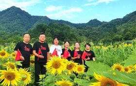 漢中新晉“網(wǎng)紅”向日葵花海，等你來(lái)打卡！縮略圖