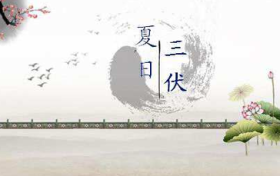 三伏天怎么吃，一次給您說明白縮略圖