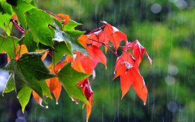 雨終于來了！未來三天陜西省大范圍降水縮略圖