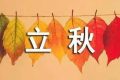 今天20時(shí)29分，正式迎來立秋縮略圖