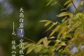 今日白露，勿忘添衣縮略圖