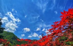 秋風(fēng)起兮白云飛，靜美佛坪秋意濃縮略圖