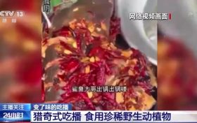 流量至上催生獵奇式吃播 多管齊下如何剎住“吃奇”之風？縮略圖