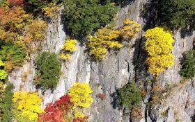 “霜降”來 陜西大部也迎來降水過程縮略圖