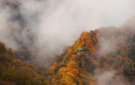 霜降 | 天上寒霜降，人間秋色深縮略圖