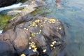 未來三天陜西降水、吹風持續(xù) 清晨易出現(xiàn)大霧縮略圖