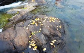 未來三天陜西降水、吹風(fēng)持續(xù) 清晨易出現(xiàn)大霧縮略圖