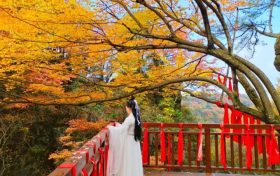 令人陶醉，心之向往！邂逅漢江源秋日調(diào)色盤縮略圖