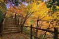 邂逅漢中這里，綿延山脈極致色彩等你來欣賞縮略圖