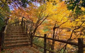 邂逅漢中這里，綿延山脈極致色彩等你來欣賞縮略圖