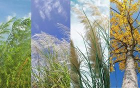 壁紙福利！讓漢臺秋日美景住進(jìn)你的手機(jī)里→縮略圖