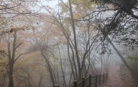 仙霧繚繞，如夢如幻！縮略圖