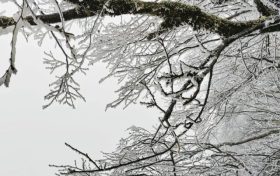 云賞龍頭山入冬初雪！霧凇奇觀太美啦！縮略圖
