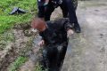 一張購(gòu)物小票，找到走失老人的回家路縮略圖