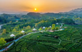 喜報！漢中市3縣獲第六批國家生態(tài)文明建設(shè)示范區(qū)和“兩山”基地命名！縮略圖