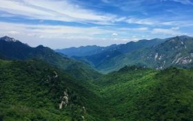 朱鹮、秦嶺石蝴蝶珍稀瀕危物種保護(hù)入選2022年生物多樣性保護(hù)優(yōu)秀案例縮略圖
