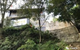 “陽(yáng)”了后你還在“咳咳咳”嗎？縮略圖