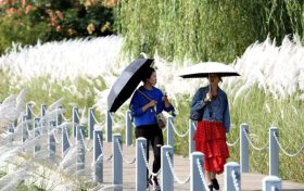 新冠恢復(fù)期應(yīng)注意補(bǔ)充營養(yǎng)避免熬夜縮略圖