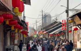 舞龍、舞獅、民族舞…漢臺家門口的年味正濃縮略圖