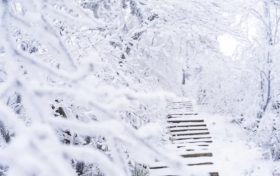 兩次弱雨雪！漢中“春節(jié)”最低氣溫在這天→縮略圖