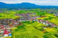 最新消息！南鄭區(qū)確定為2023中國最美油菜花海漢中旅游文化節(jié)主會(huì)場(chǎng)縮略圖