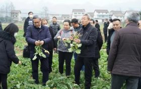 漢中這項技術(shù)全國領(lǐng)先！產(chǎn)品在全國14個省市推廣→縮略圖