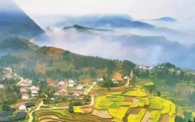 油菜花大片來(lái)襲，賞花路線已為你規(guī)劃好縮略圖