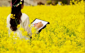 2023中國最美油菜花海漢中旅游文化節(jié)暨天漢樓 warm藝術節(jié)縮略圖