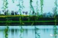冷空氣今晚抵達(dá)！陜西局地氣溫將降6-8℃縮略圖