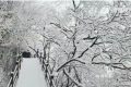 下雪了！漢中好多地方下雪了！縮略圖