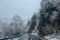 春雪別冬，觸處花開(kāi)！縮略圖